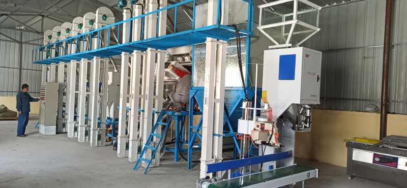 遼寧朝陽建平NZJ15噸小米成套加工設(shè)備安裝調(diào)試完畢